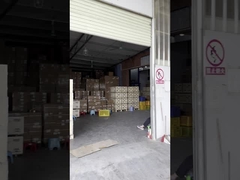 Introduzione ISUZU JMC JAC Auto Parts di Manma Company