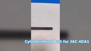 Bullone testata per JAC 1040 4DA1 1002246FA