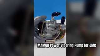Pompa servosterzo MAMUR per JMC 1040 340710010